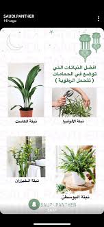 Pin By Maryam On Gardening Container Herb Garden Outdoor Flower Planters Garden Pavers