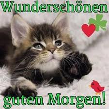 Guten Morgen Bilder Whatsapp Gb Bilder Gb Pics Gastebuchbilder Guten Morgen Dienstag Guten Morgen Bilder Guten Morgen Schatz