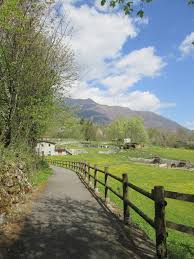 Image result for Valeriana