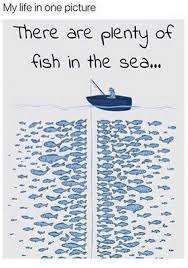 Plenty Of Fish In The Sea Memes