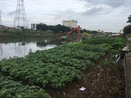 Bagi rekan rekan yang saat ini sedang mencari informasi seputar tempat kursus arsitektur yang pas dan berkualitas, indo design center (idc) merupakan solusi yang tepat. Bercocok Tanam Di Balik Ancaman Banjir Jakarta Ala Warga Kampung Rawa Bebek