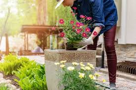 Apr 29, 2021 · an easier method of starting your garden is to buy young plants, called set plants or transplants. How To Start A Container Garden At Home And Outdoor Planter Ideas