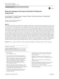 Image result for Bolusiella iridifolia