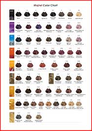 L U Oreal Dia Light Color Chart Bedowntowndaytona Com