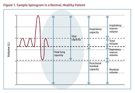 Image result for Pulmonary Function Test