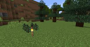 Minecraft, How To Grow Large Jungle Trees (Works On Bedrock And Java) -  Youtube