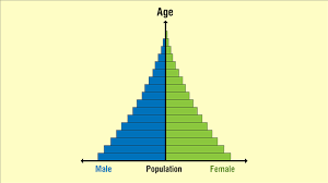 Types of population pyramids and what they mean. The Different Types Of Population Pyramids Explained With Examples Opinion Front
