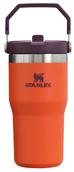 Stanley IceFlow Stainless Steel Drinking Bottle, Vacuum Insulated Water  Bottle for Home and Car Reusable Cup with Straw, Leak-proof, 12 Hours Cold  or 2 Days Ice Cold, Tiger Lily Plum 20 :