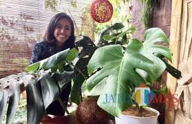 Sebelas Bunga Tercantik Dan Termahal Di Dunia Salah Satunya Ada Di Kota Batu Malangtimes