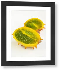 Image result for Cucumis metuliferus