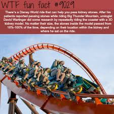 Disney World Ride That Will Help You Pass A Kidney Stone Wtf Fun Facts Wtf Fun Facts Fun Facts Disney Funny