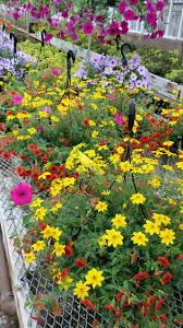 Hier findest du la crosse in zum besten preis. Latest Updates From La Crosse Floral Facebook