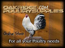 Poultry Supply Store Oakridge Gamefarm A Poultry Community Poultry Gamefowl Auction Poultry Supply Store Gallery F Poultry Supplies Poultry Game Fowl