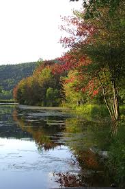 From wikipedia, the free encyclopedia. High Tor Wildlife Management Area Naples Ny 14512