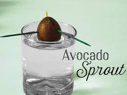 So it is not a myth at all. 20 Ways To Use Avocado Seeds Toughnickel