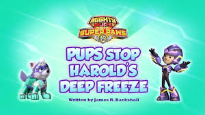 Need more paw in your life? Film Tv Spielzeug Nickelodeon Paw Patrol Mighty Pups Super Paws Rocky New Classiccomforthvac Com