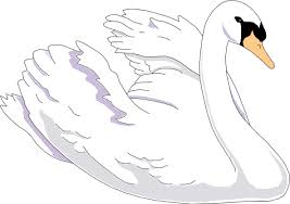 Baby Swan Clipart Black And White Pin By Jessica Todaro On Razno Graphic Design Art Public Domain Clip Art Vector Illustration
