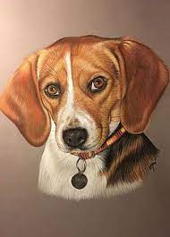 Beagle Dessin De Chien Art Beagle Peintures De Chien