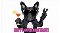 We did not find results for: 60th Birthday Gifs Get The Best Gif On Giphy