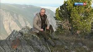 'putin to the rescue' as internet goes into. Vladimir Scarer Of Bears Putin Gets Reality State Tv Show Euronews