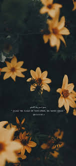 The great collection of holy quran wallpaper for desktop, laptop and mobiles. Pin By Jhjdarevic On Quran Islamic Quotes Wallpapers Islamic Quotes Wallpaper Wallpaper Quotes English Quotes