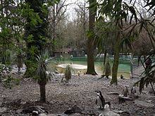 The zooparc de beauval (french pronunciation: Zooparc De Beauval Wikipedia