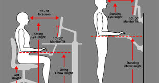 If you are sitting in front of a computer, there are other things to take into consideration, such as the optimal distance after reading your article, i plan to give my posture more importance and make sure that i sit correctly. Ergonomics And Posture For Computer Users Avadirect