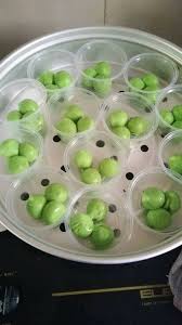 Selain daripada tepung beras, banyak lagi tepung untuk membuat kek dan kuih iaitu tepung gandum, tepung jagung,tepung ubi, tepung pulut, tepung kastard dan banyak lagi. Resepi Kuih Dari Tepung Pulut