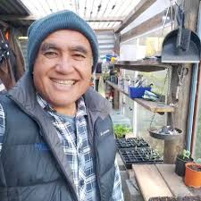 Sugar Snap Peas 🌱, ., These peas are one of our favourites to grow through  Winter and will often taste sweeter after a frost. I will transplant them  in a sunny spot along some steel netting for ...