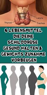 340 Schilddruse Ideen Schilddruse Schilddruse Hashimoto Schilddruse Unterfunktion