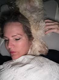 Child Attempts to Bathe Puppy in Toilet