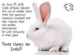 India Banned Animal Tests From The Countrys Cosmetic Standard Vegan Animals Animals Support Animal