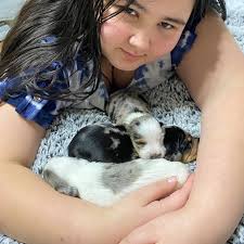 Dial's Dachshunds added a new photo.