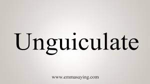 How To Say Unguiculate - YouTube