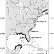 Pdf Conservation Status Of The American Horseshoe Crab Limulus Polyphemus A Regional Assessment
