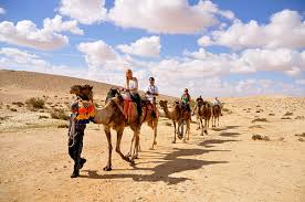 And in between want it all the time, she a fiend so good, i see it in my dreams she wanna arch her back when i hit it when i do it mama wanna holla get it she said take it slow, put it down on me i said jump on it, ride like a pony lights down low, time to get naughty. Negev Desert Israel Camels Chocolate Travel Lifestyles Blog