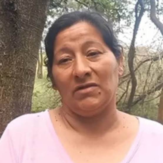 Las pruebas de la Justicia para imputar a la tía Laudelina por la  sustracción de Loan: la acusan de plantar el botín - Infobae