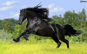 images?q=tbn:ANd9GcRgBIKMvFmC4x0X_7B-mYfl4CdSH3MyyIEgRV1Qmv2p4FO4MUPj