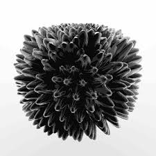 Delirium Lab Ferrofluid Geometrie