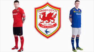 Cardiff city v reading, emirates fa cup fourth round replay, football, cardiff city stadium, uk stockafbeelding door nathan munkley voor redactioneel gebruik, 4 feb. Cardiff Dragons Polemico Dono Do Cardiff Especula Mudanca Do Nome Do Clube E Revolta A Torcida
