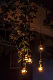 Hanging Lightbulbs Photography Wallpaper Moonlight Photography Beautiful Wallpapers