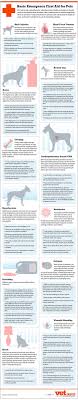 At these clinics, you can get treatments and medical care for your pet. Pin By Nikki Lynn On Preppers Lounge Dog Care Pets Dog Owners