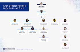 An organization chart is a graphical presentation of the organizational structure of organization. 12 Organizational Chart Examples Templates