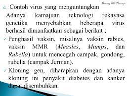 Peranan Mikroorganisme Dalam Kehidupan Manusia Ppt Download