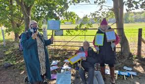 Salisbury Journal - News update