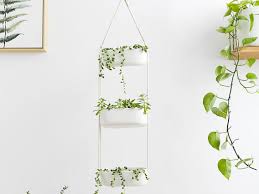 This one from sower's source is another great herb garden package. Best Indoor Herb Gardens Of 2021