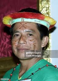 715 Amazon 2000 Stock Photos, High-Res Pictures, and Images