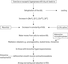 Image result for Inhalation Challenge Test