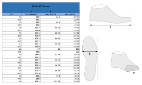 Fizik R1 Infinito Road Cycling Shoe