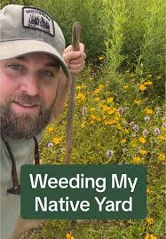 Creating a Thriving Native Plant Habitat